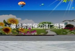 骏马奔腾保边疆广场舞