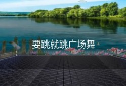 要跳就跳广场舞