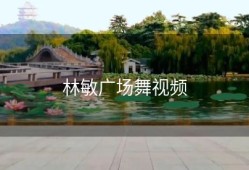 林敏广场舞视频