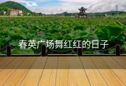 春英广场舞红红的日子