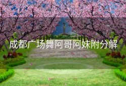 成都广场舞阿哥阿妹附分解