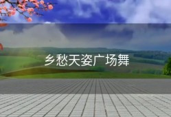 乡愁天姿广场舞