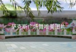 萨克斯广场舞唯美图片