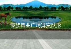 傣族舞曲广场舞变队形