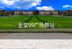 金堂99广场舞站