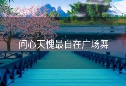 问心天愧最自在广场舞