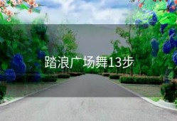 踏浪广场舞13步