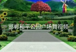 邯郸和平公园广场舞视频