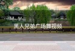 黑人兄弟广场舞视频