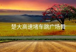 楚大高速堵车跳广场舞