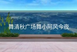 舞清秋广场舞小阿风今夜
