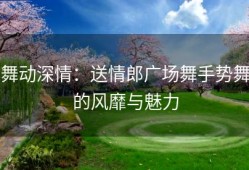 舞动深情：送情郎广场舞手势舞的风靡与魅力