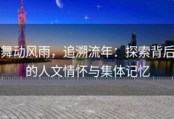 舞动风雨，追溯流年：探索背后的人文情怀与集体记忆
