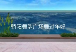 骄阳舞韵广场舞过年好