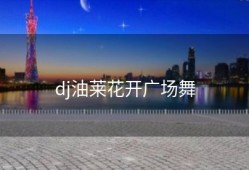 dj油莱花开广场舞
