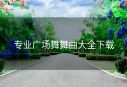 专业广场舞舞曲大全下载