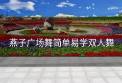 燕子广场舞简单易学双人舞