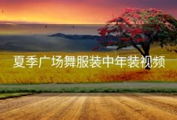 夏季广场舞服装中年装视频