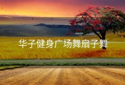 华子健身广场舞扇子舞