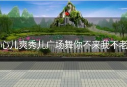 心儿爽秀儿广场舞你不来我不老