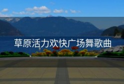 草原活力欢快广场舞歌曲