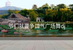 爷们就要争口气广场舞dj