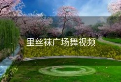 里丝袜广场舞视频