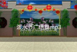 泼水节广场舞mp3