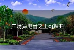 广场舞电音之王dj舞曲