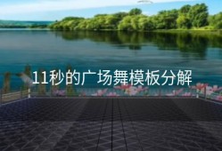 11秒的广场舞模板分解