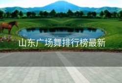 山东广场舞排行榜最新