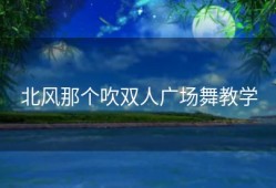 北风那个吹双人广场舞教学