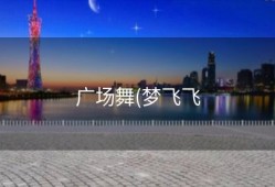 广场舞(梦飞飞