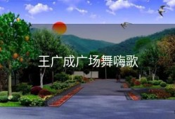 王广成广场舞嗨歌