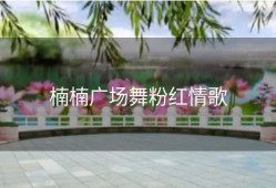 楠楠广场舞粉红情歌