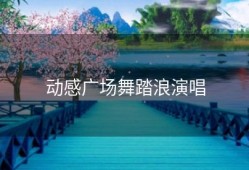动感广场舞踏浪演唱