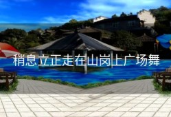 稍息立正走在山岗上广场舞