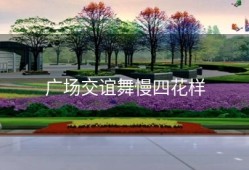 广场交谊舞慢四花样