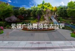 紫蝶广场舞骑车去拉萨