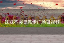 妹妹不哭鬼舞步广场舞视频