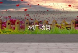 a4广场舞