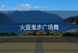 火苗鬼步广场舞
