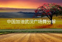 中国加油武汉广场舞分解