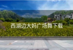 西湖边大妈广场舞下载