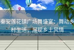 秦安莲花镇广场舞盛宴：舞动乡村生活，展现乡土风情