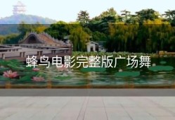 蜂鸟电影完整版广场舞