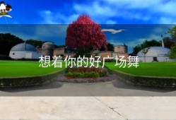 想着你的好广场舞