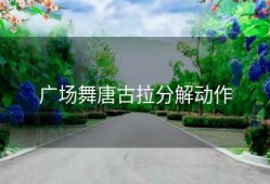广场舞唐古拉分解动作