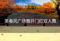 笑春风广场舞开门红双人舞