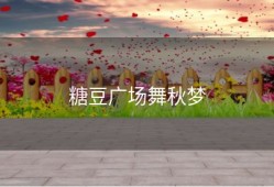 糖豆广场舞秋梦